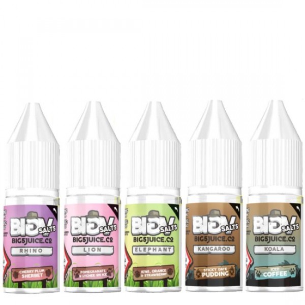 BIG 5 NIC SALT Eliquids 10ML